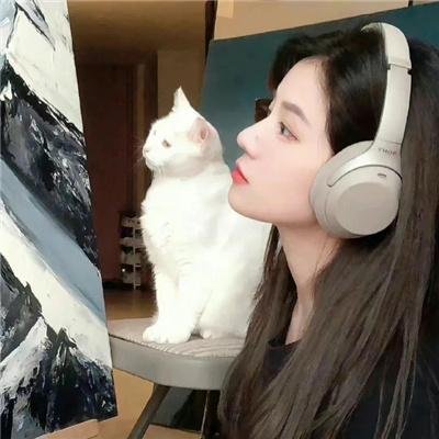 搅局专家